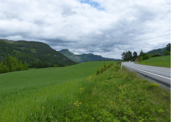 E16 GS-veg VEIEMOTET-TOLLEFSRUD
